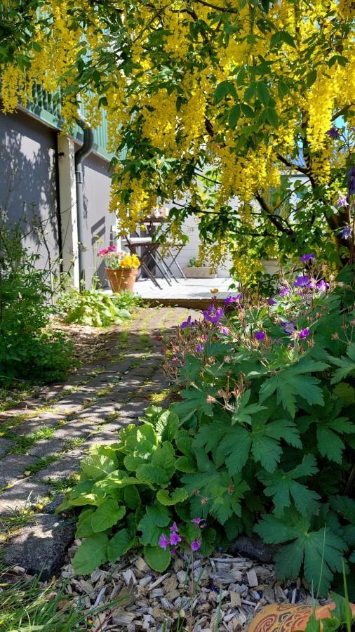 Old Charm Apartment - Keflavik Downtown Exterior foto
